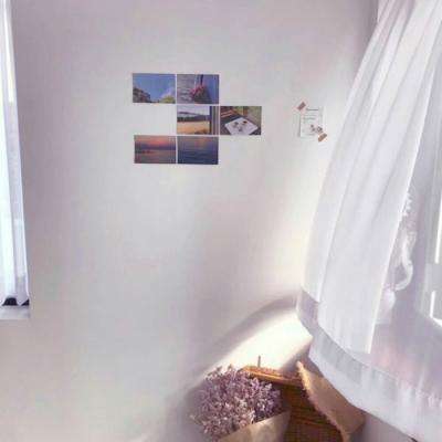 IM体育官方网站入口