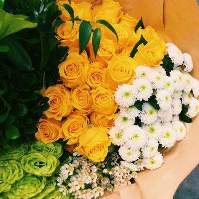 赏金女王下载ios